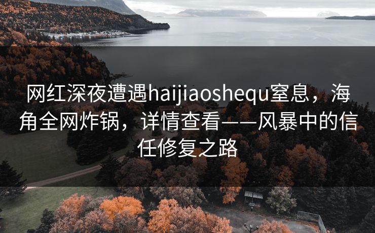 网红深夜遭遇haijiaoshequ窒息，海角全网炸锅，详情查看——风暴中的信任修复之路