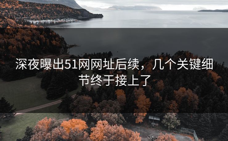 深夜曝出51网网址后续，几个关键细节终于接上了