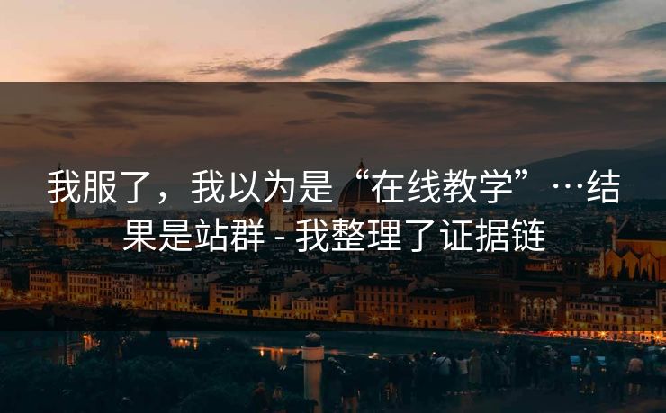 我服了，我以为是“在线教学”…结果是站群 - 我整理了证据链